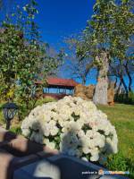 Alio Guest House Integral - Unitate integral - Alio Guest House