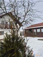 Alio Guest House Integral - Unitate integral - Alio Guest House