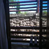 Camera Tripla - La Maria lu' Sandoiu