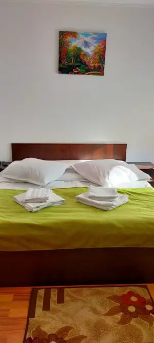Cameră Dublă Matrimonială - Camera Dubla - Felinarul Munților