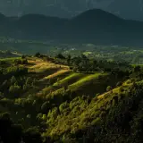 Felinarul Munților - Imagine de ansamblu