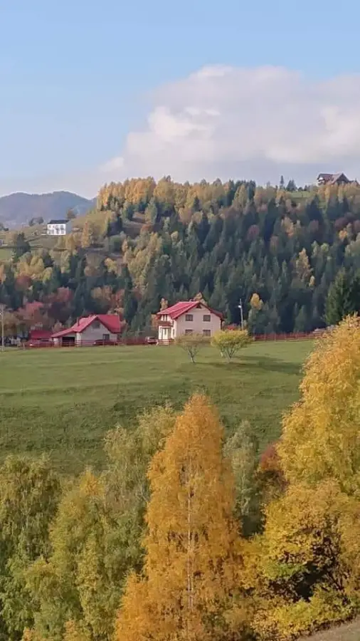 Felinarul Munților — Moieciu