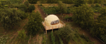 Cort Glamping - Poarta Neamului