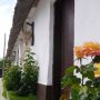 Camere de inchiriat Casa Lucia - Imagine de ansamblu