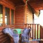 Apartament - Pensiunea Radu