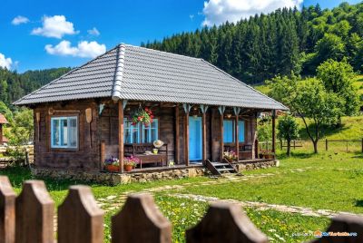 Gospodaria lui Nea Ion