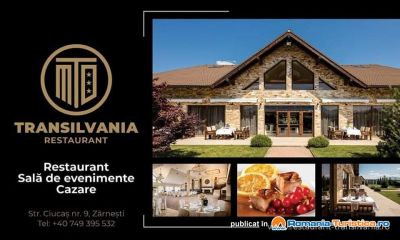 Vila Restaurant Transilvania